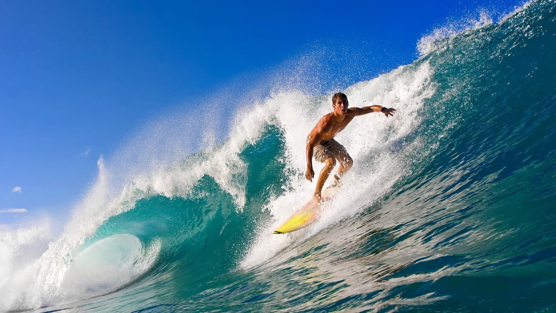 法国游泳名将打破尘封十年的1500米自由泳世界纪录